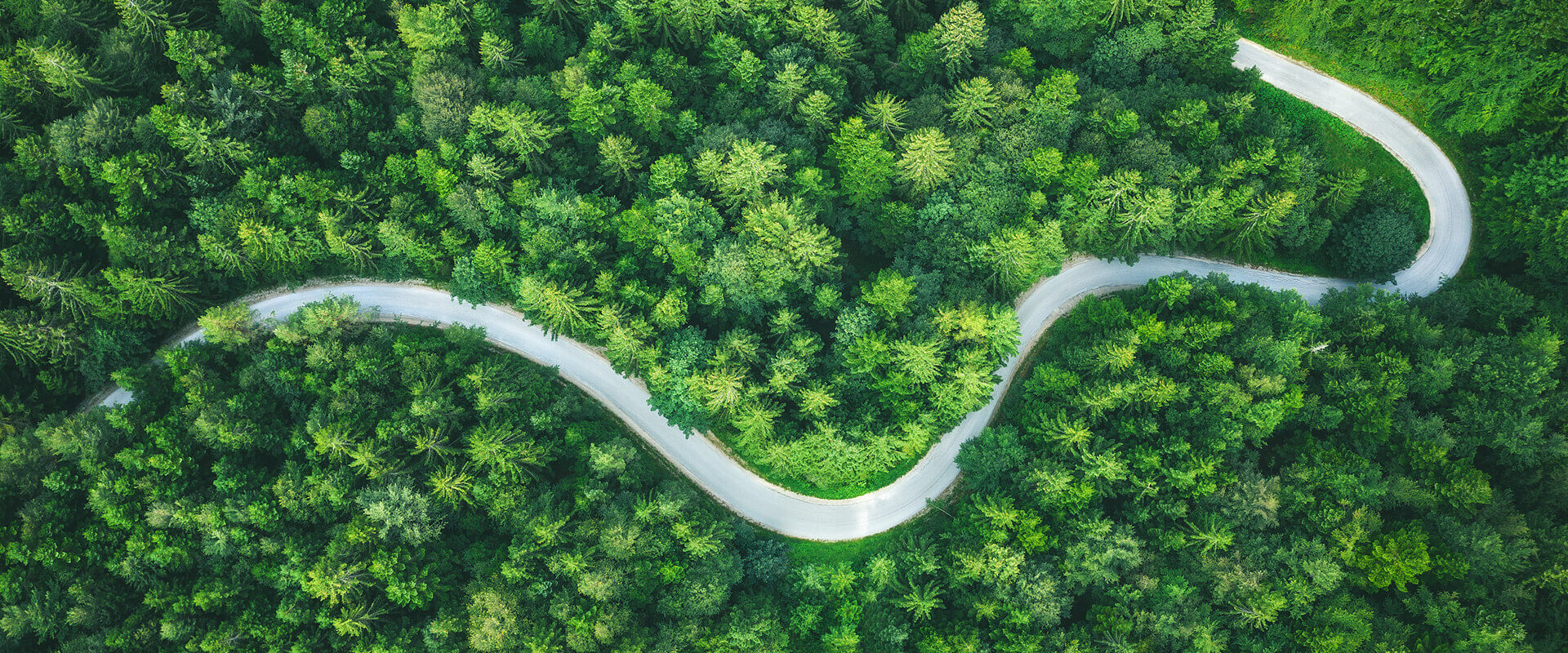 91短视频
可持续发展理念.jpg