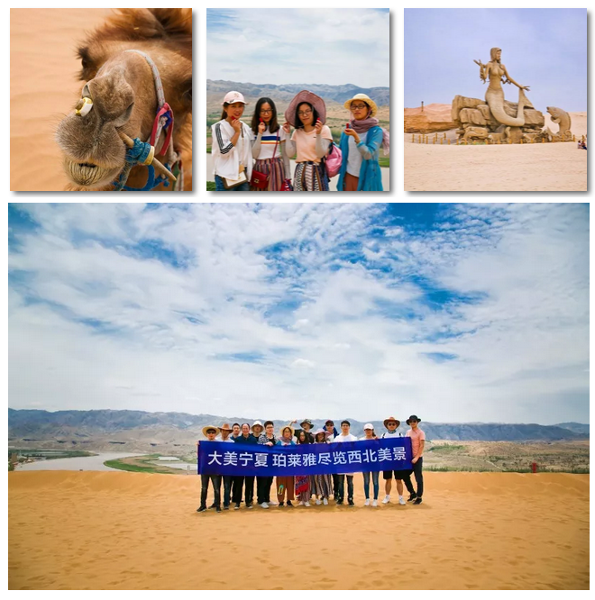 15349070217593955CQt.png 图片14.png