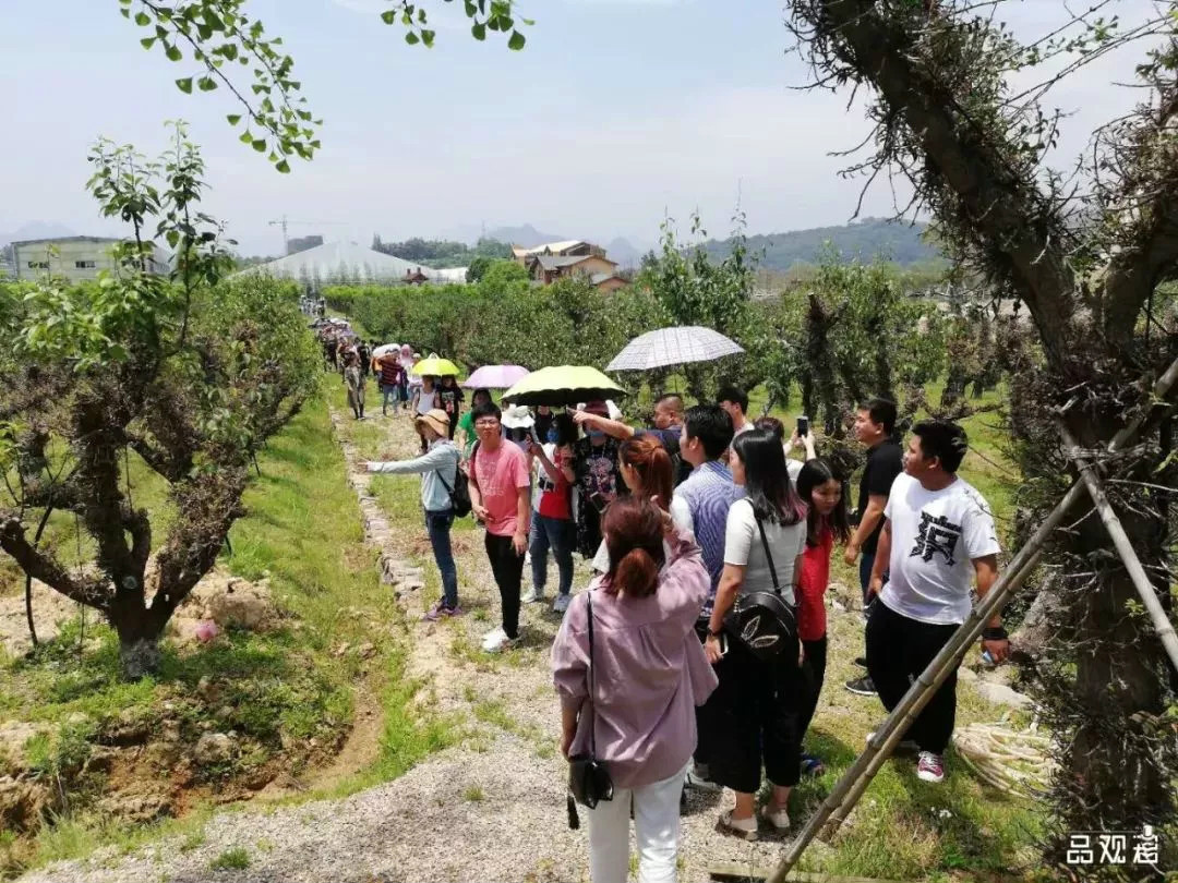 1527585191483040pgnJ.jpg 9.jpg