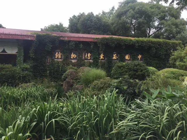 1499680280777916nBxD.jpg 2.webp.jpg