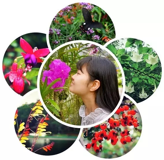 1497423516861605CV4N.jpg 3.webp.jpg