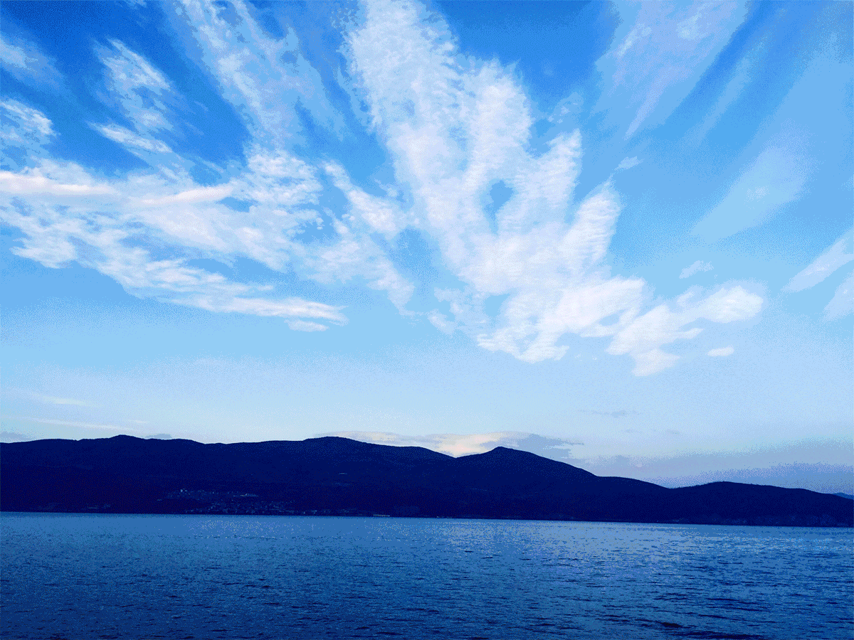 1497423716973289qeSV.gif 13.gif